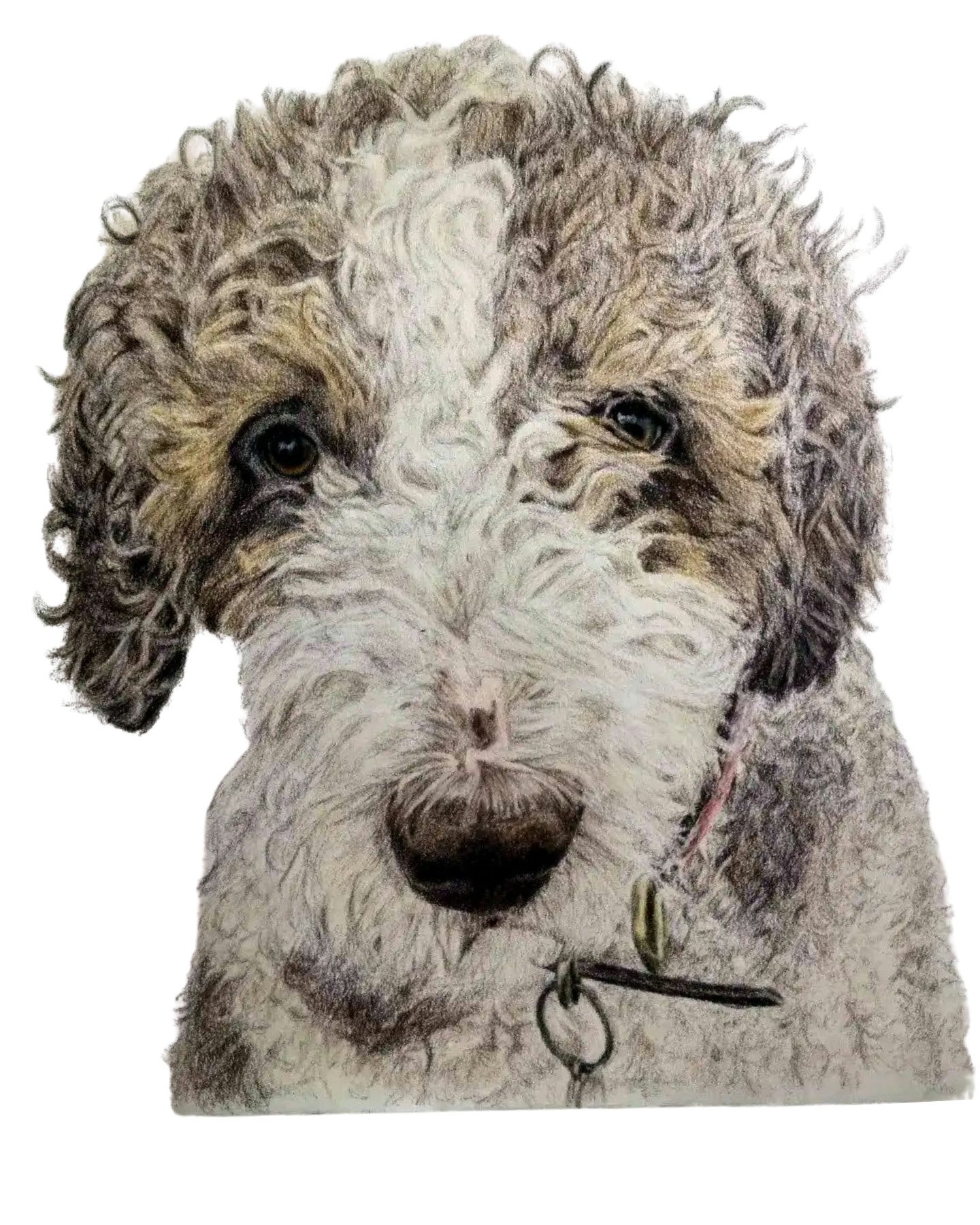 Retrato personalizado de mascota a lápiz de color